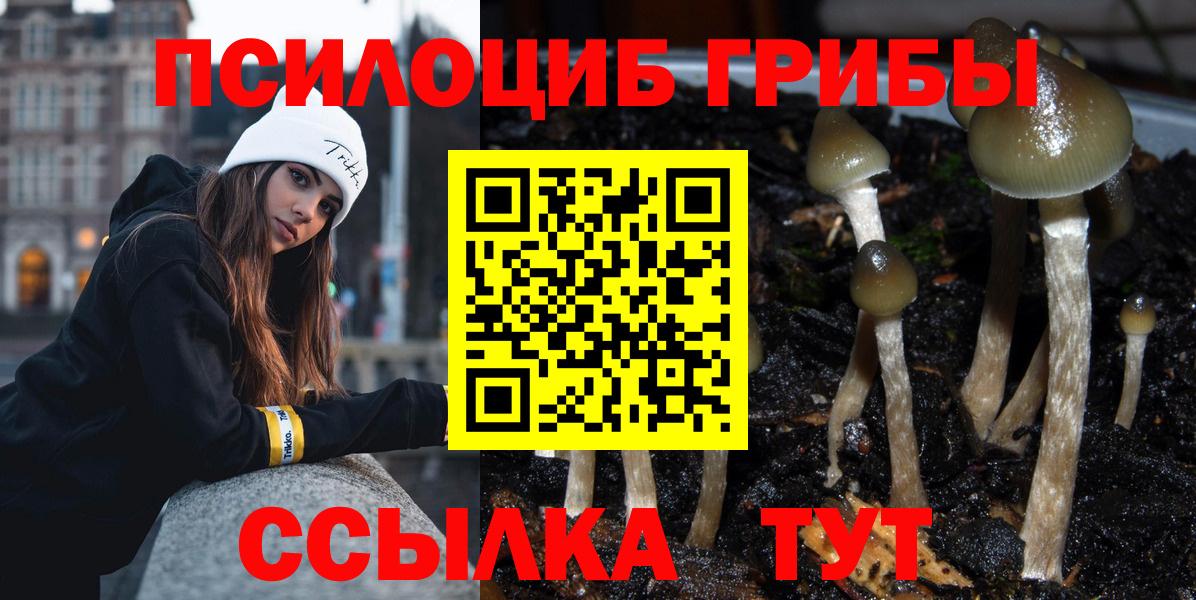 Псилоцибиновые грибы мухоморы Гурьевск