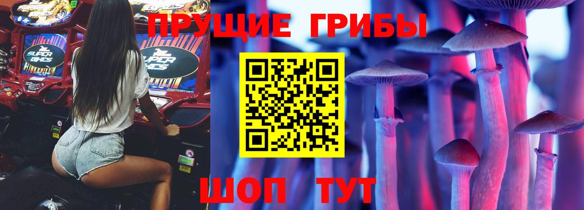 купить   Вход с VPN  Гурьевск  Псилоцибиновые грибы GOLDEN TEACHER 